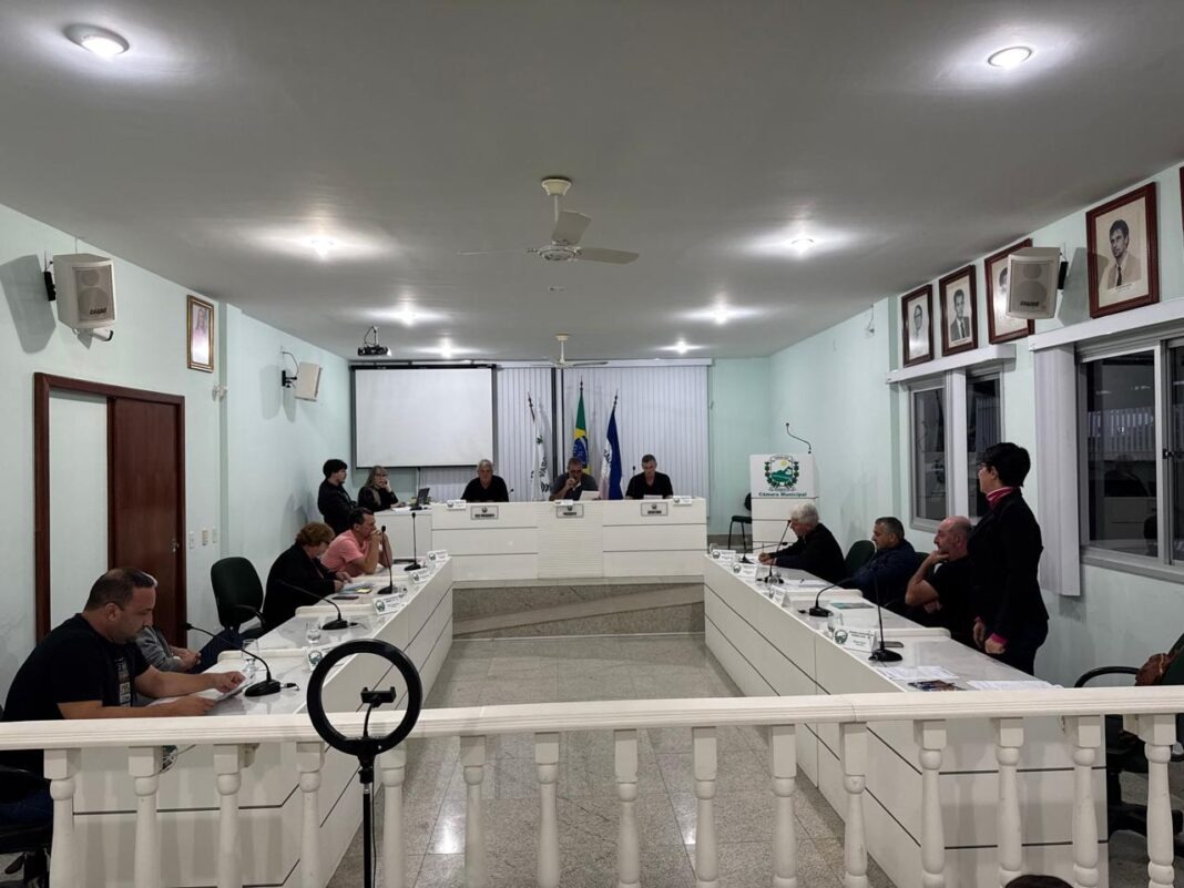 Por que votei contra o projeto de lei que cria um subgrupo salarial para médicos em Vargem Alta