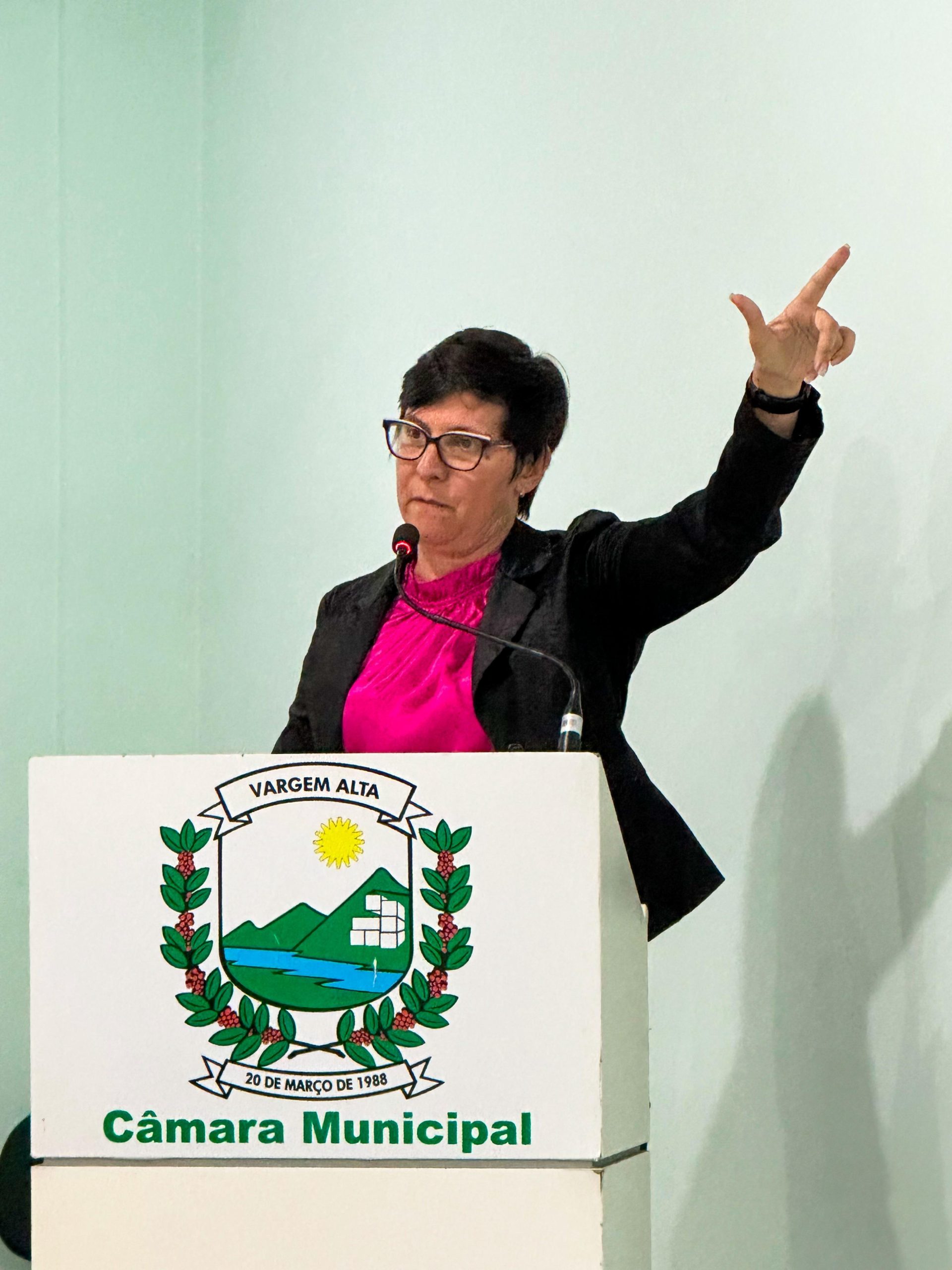 Vereadora Eliane Turini aciona Justiça para anular alterações no estatuto e eleição da diretoria do Hospital Padre Olívio em Vargem Alta